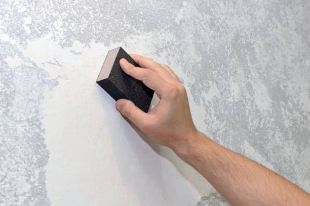 Best Comprehensive Air Testing for Mold Contaminants  in Mount Olive, AL