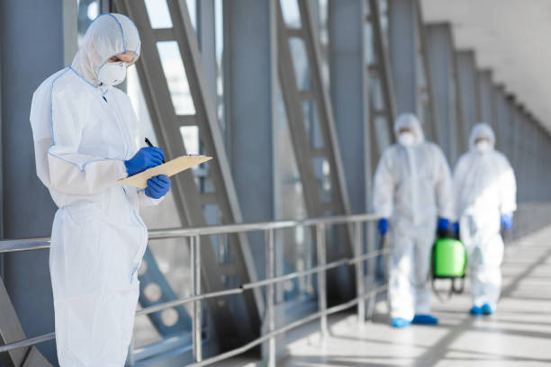 Trusted Mount Olive, AL Mold Removal Experts