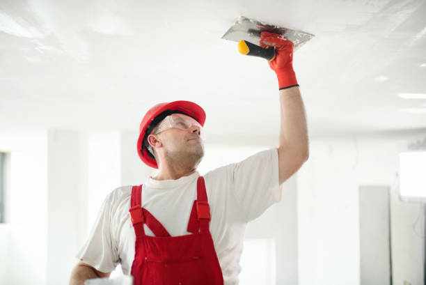 Best Black Mold Removal  in Mount Olive, AL