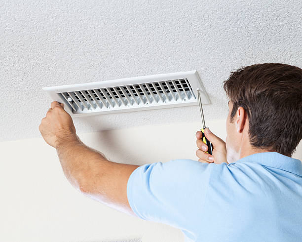 Best Mold Odor Removal Services  in Mount Olive, AL