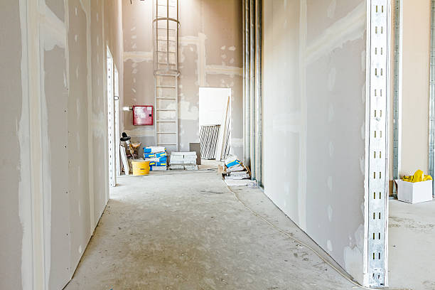 Dehumidification Services in Mount Olive, AL