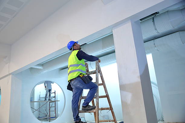 Best Mold Damage Restoration  in Mount Olive, AL